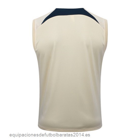 Nuevo Entrenamiento Sin Mangas Paris Saint Germain 23/24 Amarillo Azul Baratas